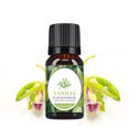 thumbnail image 3 of Perfumes para hombre Aceite de aromaterapia de grado terapéutico soluble en agua 10ML, 3 of 6