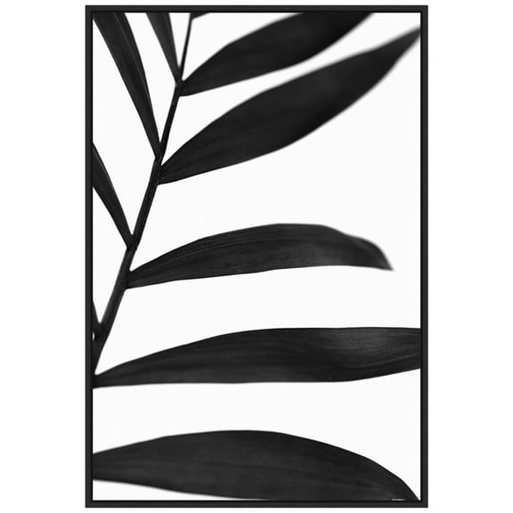 Amanti Art Black Palms V Framed Canvas Wall Art Print