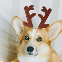 LULULION Pet Reindeer Cosplay Headband Christmas Design Adjustable Size 1Pack