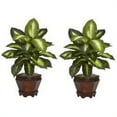 thumbnail image 3 of Nearly Natural 20.5" Dieffenbachia with Wood Vase Artificial Plant, Set of 2, Variegated, 3 of 6