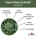 thumbnail image 5 of Burpee Sun King Hybrid Broccoli Vegetable Seed, 1-Pack, 5 of 6