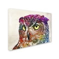 thumbnail image 2 of Trademark Fine Art 'Owl Drowing' Canvas Art by Mark Ashkenazi, 2 of 3