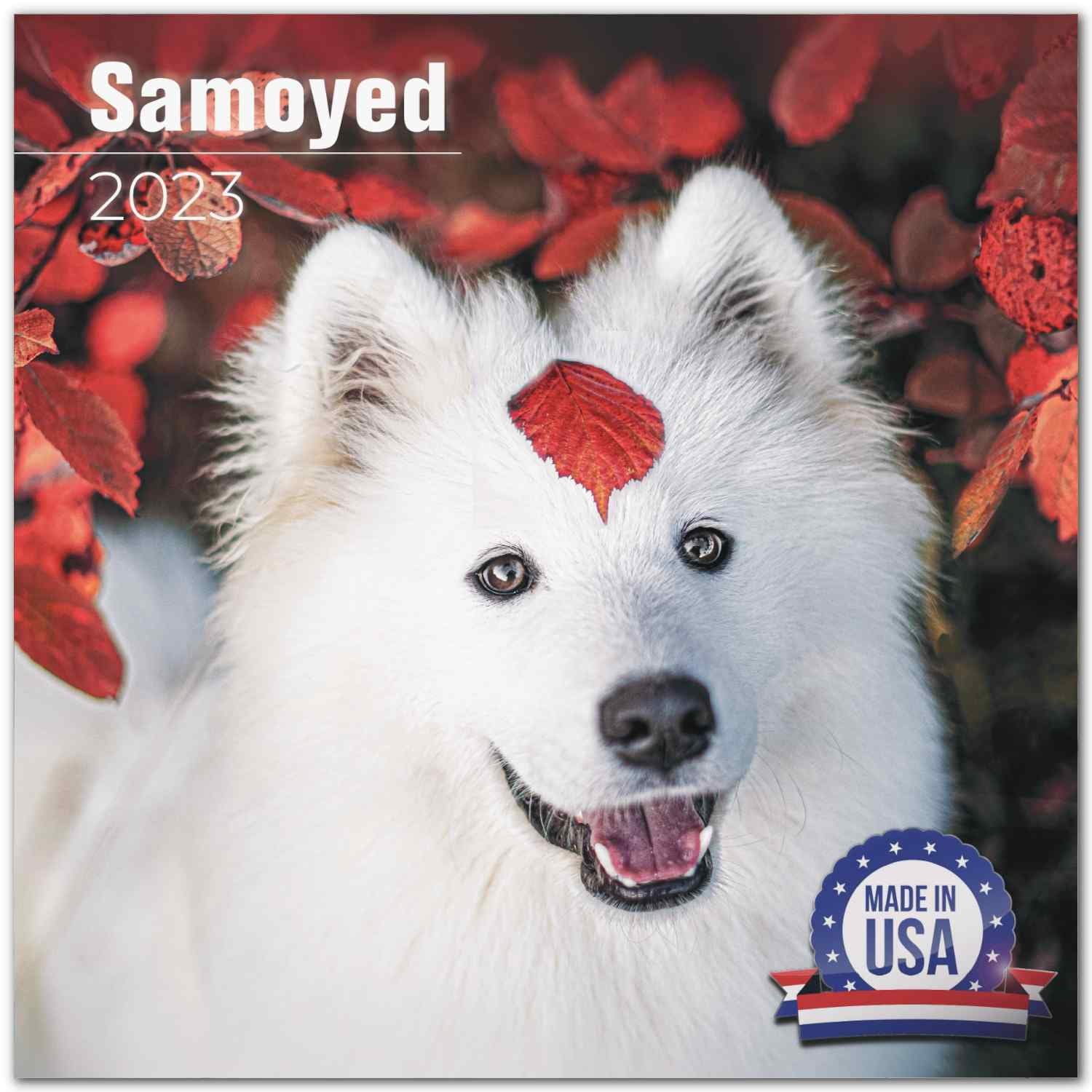 2022 2023 Samoyed Calendar - Dog Breed Monthly Wall Calendar - 12 x 24 Open - Thick No-Bleed Paper - Giftable - Academic Teacher's Planner Calendar Organizing & Planning - Made in USA