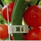 thumbnail image 3 of Apuakthei 50 piezas de clips de soporte para plantas para jardín, tomate, huerto, enredadera para que crezcan en posición vertical y hagan que las plantas crezcan más fuertes, clips de hilo, 3 of 5