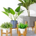 thumbnail image 2 of TRINGKY Plant Stand Modern Design Indoor Plant Stand,Mid Century Wood Flower Pot Holder, 2 of 12