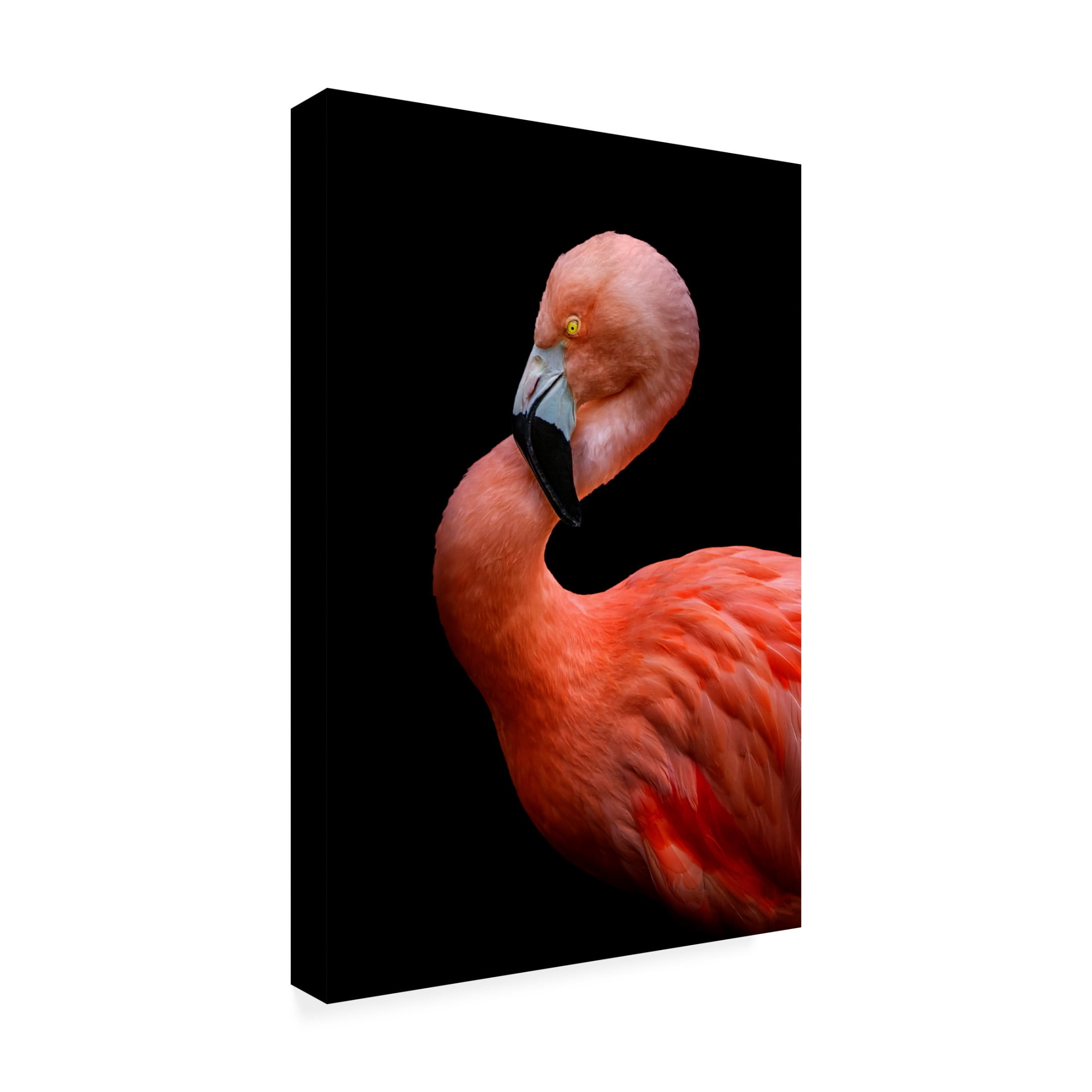 Trademark Fine Art Hardik Pandya Untitled Canvas Wall Art