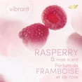 thumbnail image 2 of Dove Whole Body Deodorant Aluminum Free, Friction Stick Raspberry & Rose Scent, 2 of 8