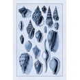 thumbnail image 2 of Sowerby, G.B. 17x24 Black Ornate Wood Framed with Double Matting Museum Art Print Titled - Shells: Trachelipoda #6 (Blue), 2 of 4