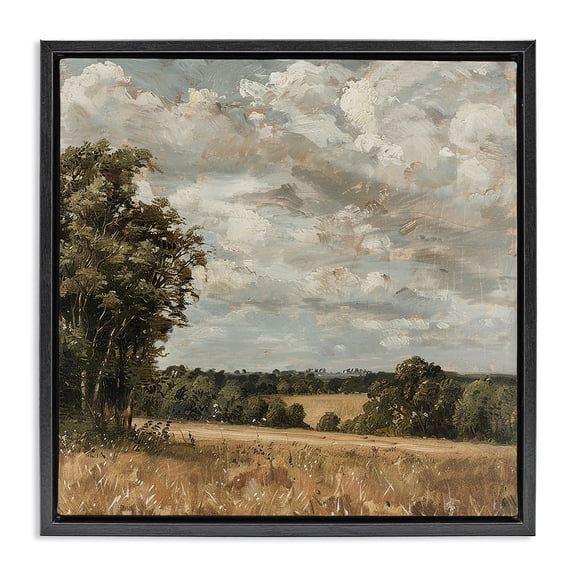 Stupell Industries Traditional Clouds Over Country Scenery Black Floating Frame Canvas Art, 18 x 18, by Creative Studio