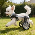 thumbnail image 2 of Walking Dog Cart For Disabled Pet Adjustable Dog Two Wheel Wheelchair Lightweight Mobility Aid Pet Support, 2 of 11