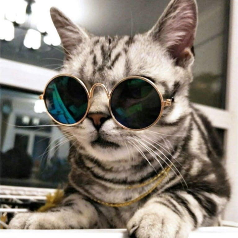 Cute small sunglasses cheap