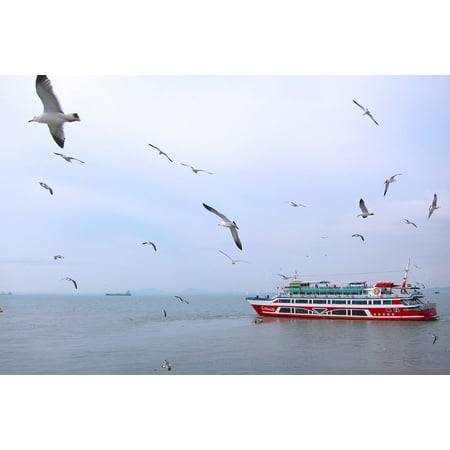 LAMINATED POSTER Birds Wings Seagulls Flying Sky Sea Ship Ocean Poster Print 24 x