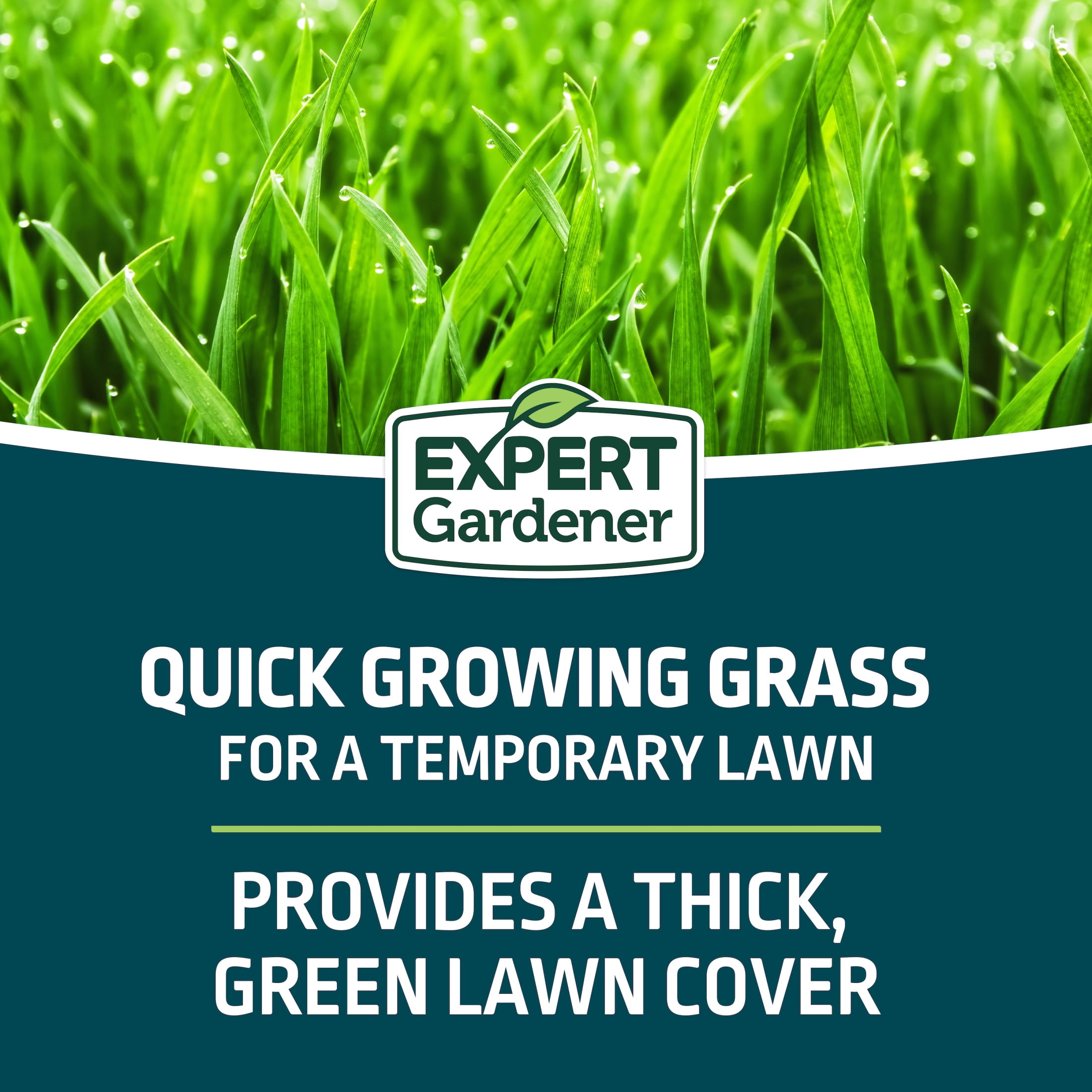 Expert Gardener Kwik Grass Seed Mix, for Sun to Partial Shade, 15 lb., 1 Pack, New