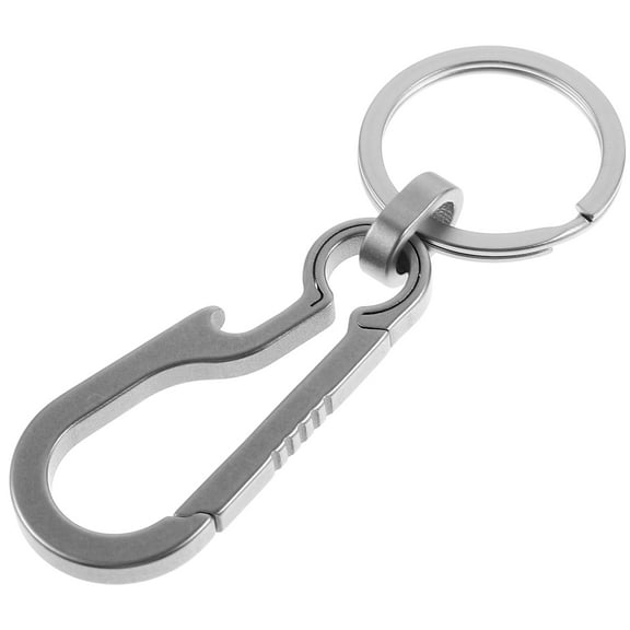 ibasenice Metal Keychain Keyring Carabiner Clip Silver 1Pcs