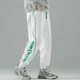 thumbnail image 5 of Pantalones deportivos masculinos Pantalones deportivos de otoño e invierno para hombre Pantalones harén con bolsillo con cremallera Tendencia de ropa 2024 Oferta de bienvenida Elegante, 5 of 5