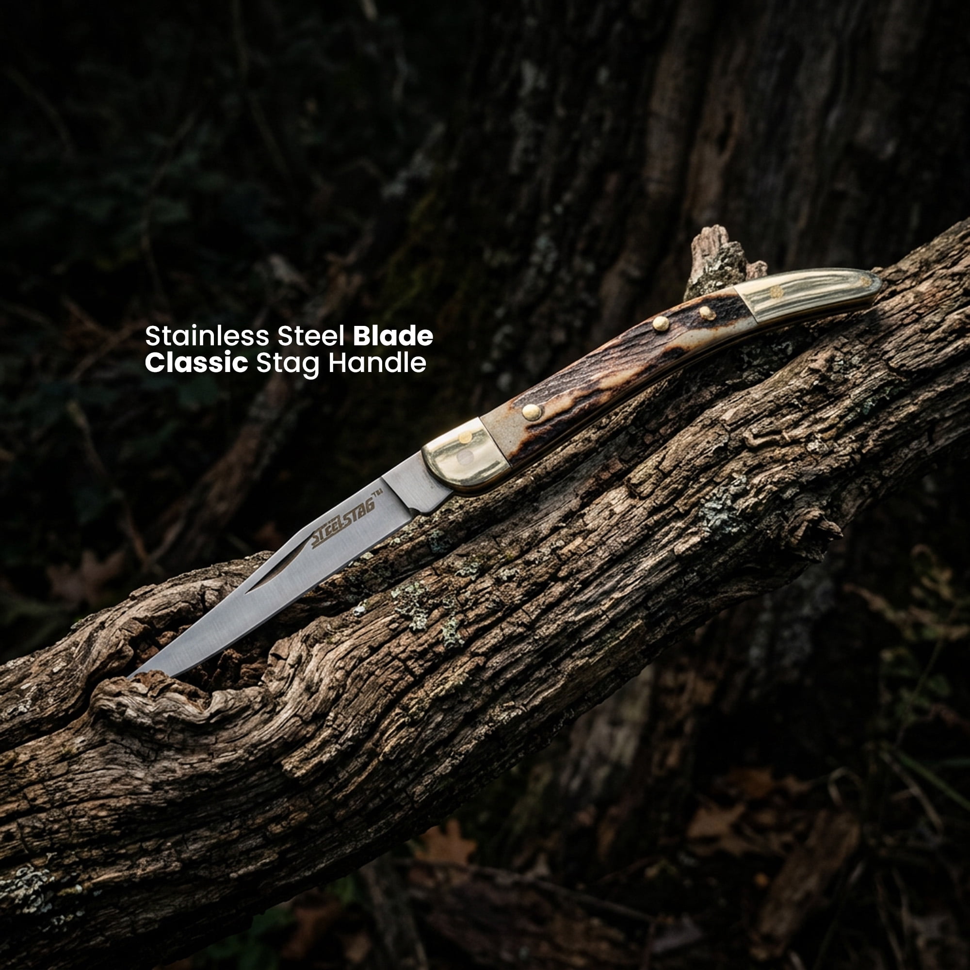 SZCO 3 Inch Stag Toothpick Folding Knife Stainless Steel Blade Classic Pocket Knife Compact Everyday Carry Utility Folder