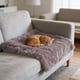 thumbnail image 5 of Manta Suave de Fibra Larga para Mascotas (Perros y Gatos): Ropa de Cama Transpirable, Peluda y Acogedora para Usar En La Perrera, El Sofá o El Coche. Alfombrilla de Descanso de Tela Sintética para La, 5 of 6