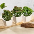 thumbnail image 2 of BalsaCircle 3 Green 7" Artificial Faux Realistic Jelly Bean Succulent Plants Off White Pots, 2 of 6