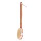 thumbnail image 5 of Cepillo de baño extraíble de cerdas naturales Cepillo de piel de masaje de madera con mango largo Sywqhk Cuidado Belleza, 5 of 7