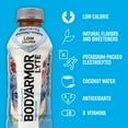 BODYARMOR LYTE Sports Drink, Blueberry Pomegranate, 16 Fl. Oz., 12