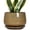 Speckled Brown, variant on Ordivicd 6 inch Dark Reactive Glaze Round Ceramic Planter Pot with Drainage Hole & Saucer, Small Indoor Succulent Cactus Plant Pot for Home Windowsill Decor, Gift for Plant Lovers Women
