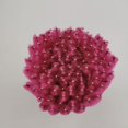 thumbnail image 3 of Cepillos desechables para rímel de pestañas Pimoys, 100 unidades, 3 of 5