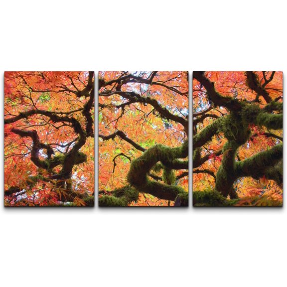 wall26 - 3 Piece Canvas Wall Art - Gnarly Japanese Maple Tree - Modern Home Art Stretched and Framed Ready to Hang - 24"x36"x3 Panels