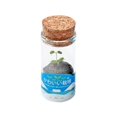 thumbnail image 2 of Small Green Bonsai Plant Pots Green Plants Housewarming Gift Blue, 2 of 8