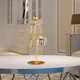 thumbnail image 3 of Figuras de Bolas de Cristal Zulema con Soporte de Hierro Dorado estilo C, 3 of 8