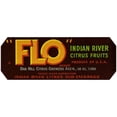 thumbnail image 3 of Anonymous 18x9 Black Modern Framed Museum Art Print Titled - Flo Brand Citrus Label (1940s), 3 of 5