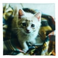 thumbnail image 2 of Cat | Cute Cat | Cat Pillow | Cat Gifts | Cat Decor | Cat Photo | Gifts for Cat Lovers | Accent pillow | Throw Pillow Covers, 2 of 4