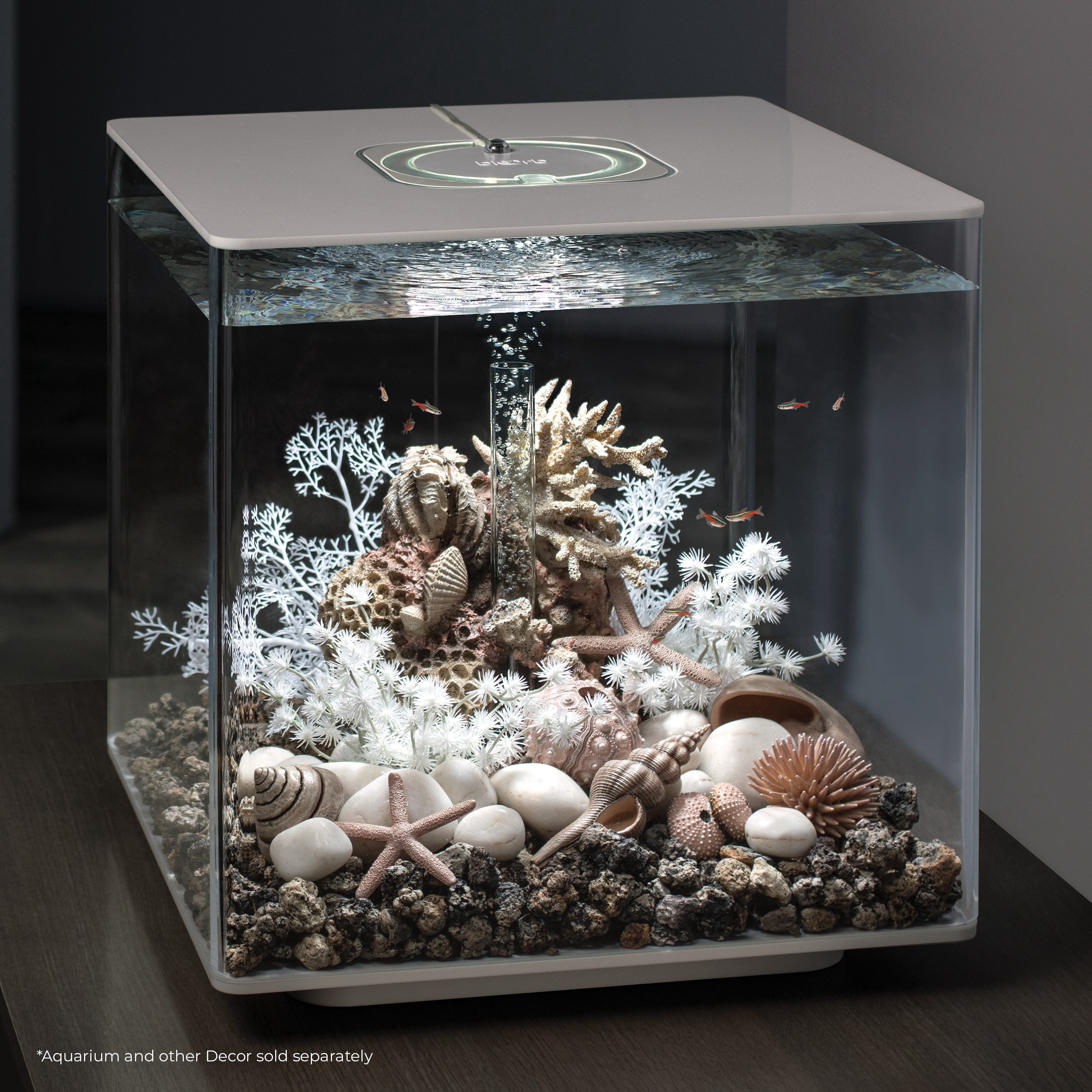biOrb Aquarium Décor Sea Urchins Set of 3 - Ceramic, Natural