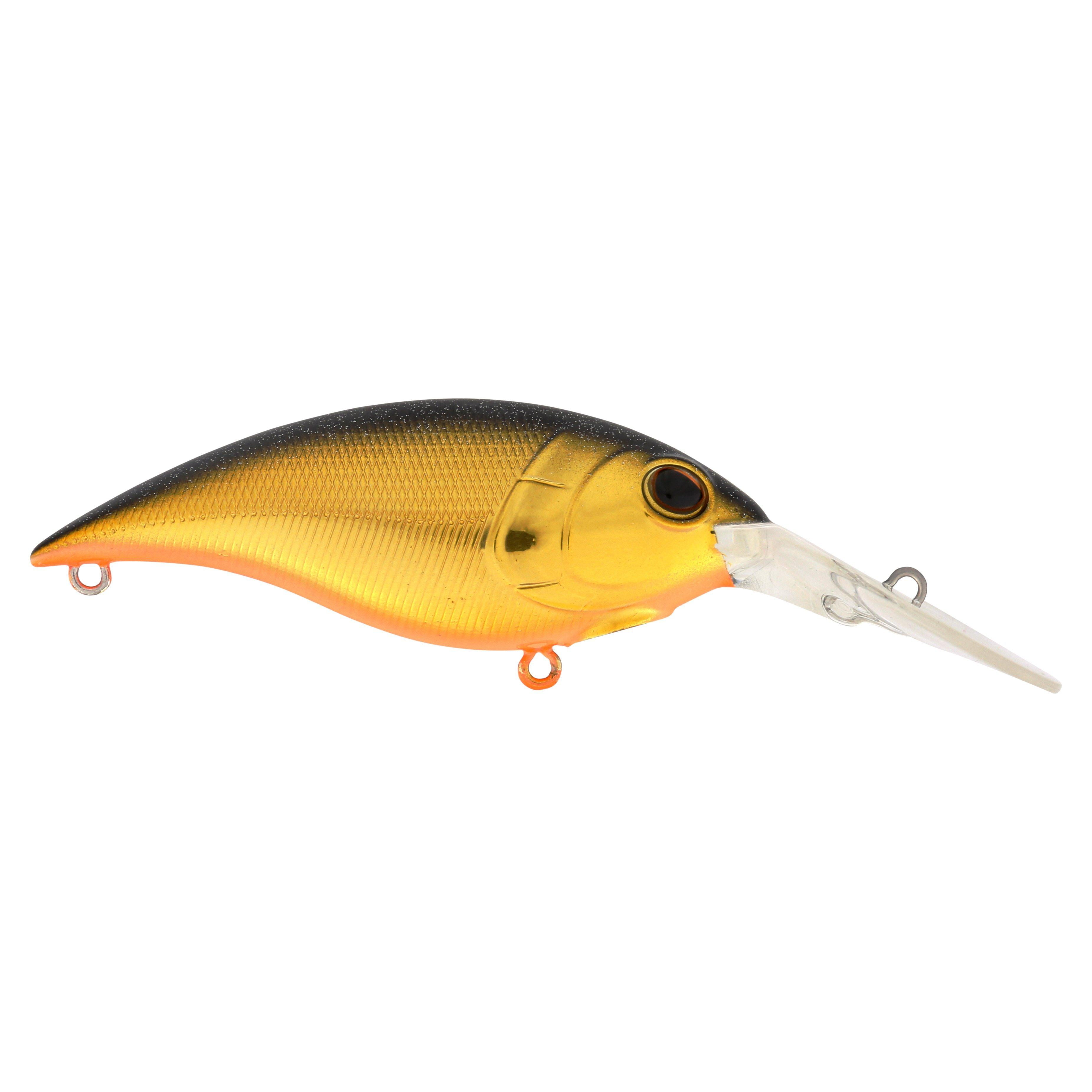 Berkley Money Badger, 7.25, Black Gold