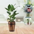 thumbnail image 2 of Set of 2 Flowerpot Pots Vintage Decor Cactus Car Large Outdoor Planters, 2 of 8