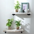 thumbnail image 3 of Set de plantas artificiales MyGift con maceta de cristal transparente (3 unidades), 3 of 6