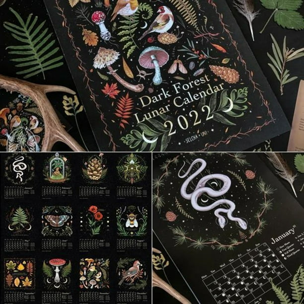Dark Forest Lunar Calendar 2022 Illustrated Wall Calendar Art Monthly