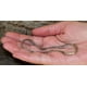 thumbnail image 4 of Cadena Basket 1.5 Mm YONGSHENG Negro-plata, 4 of 5