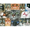 thumbnail image 2 of Rompecabezas Buffalo Games Irina Garmashova-Cawton Cats 750p, 2 of 6