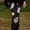 Black, variant on Halloween Black High Waisted Leggings Women with Pockets Polyester,Spandex Full Length Capri Buttery Soft Yoga Pants for Workout Athletic L