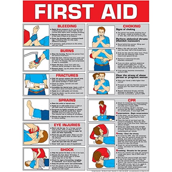 First Aid Laminated Poster 24" X 36"