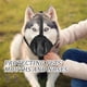 thumbnail image 3 of FELTECHELECTR Bozal De Malla Para Perros Con Y Para Uso Diario, 3 of 8