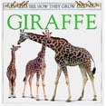thumbnail image 1 of Pre-Owned Giraffe (See How They Grow) (Hardcover) 1564583112 9781564583116, 1 of 1