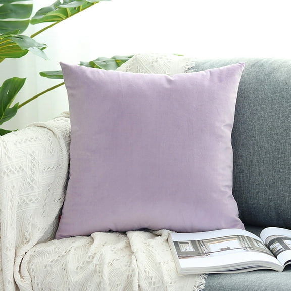 Cterwk Velvet Throw Pillow Covers Decorative Square Pillowcase Soft Solid Cushion Case for Sofa Bedroom Couch Car, 16 x 16inch