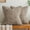 Brown, variant on Khaki Reversible Pillow Covers 2 Pack - Farmhouse Chenille Throw Pillows, Neutral Textured Decorative Throw Pillow Covers with Border for Couch Sofa Bed (12x20 Inch, No Insert)