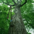 thumbnail image 4 of Tree Arborist Friction Saver Tree Climbing Cambium Saver Loop Belt Sling Retrievable Anchor, 4 of 4