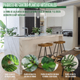 thumbnail image 4 of 4 Macetas Plantas Artificiales Macetas Decorativas Bonsai Lab.G, Blanco, 4 of 5