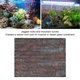 thumbnail image 4 of Fondo De Acuario Roca Fondo De Tanque De Peces 3D Simular Decoración De Corteza Decoración De Hábitat De Pared De Tanque De Dragón Barbudo Para Tanque De Reptiles Fondo De, 4 of 7
