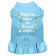 thumbnail image 1 of Pumpkin Kisses Screen Print Dog Dress Baby Blue Xl (16), 1 of 1
