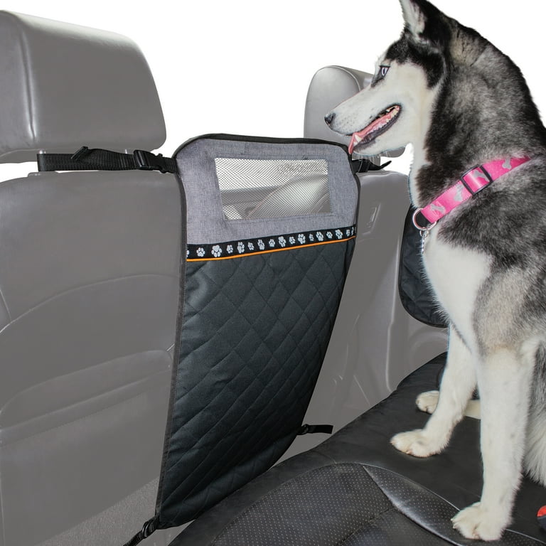 14 Best Pet Accessories for Your Car 2022