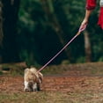 thumbnail image 4 of Heavy Duty Rope Dog Leash for No Pull Training with Reflective Thread Strong Comfortable Loop Design for Daily Outdoor Walking, 4 of 4